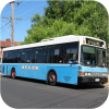 Ryans Bus Service fleet images