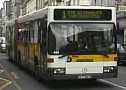 Bibus
