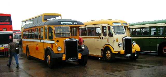 Leyland Tiger PS1 Wilkes & Meade JAX354 & Alexander Northern Daimler CVD6 Burlingham ND20