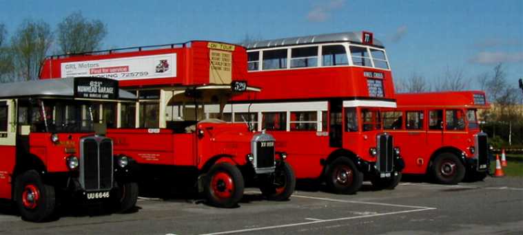 London Transport T31