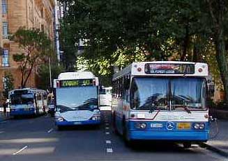 Sydney Buses
