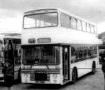Dominator 237