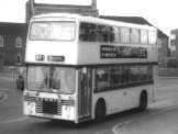Dominator 237