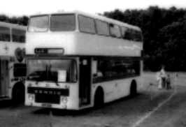 Dominator 231