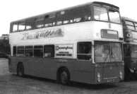 Brighton Corporation TYJ10S