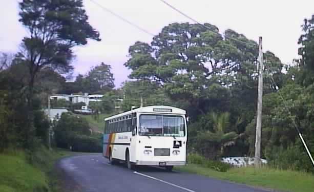 Waiheke Bus Company Bedford VAM75 NZMB/Hess at Palm Cove