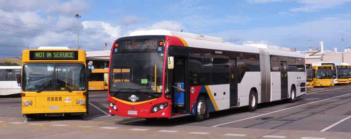 Adelaide Metro articulated buses | australia.SHOWBUS.com BUS IMAGE GALLERY