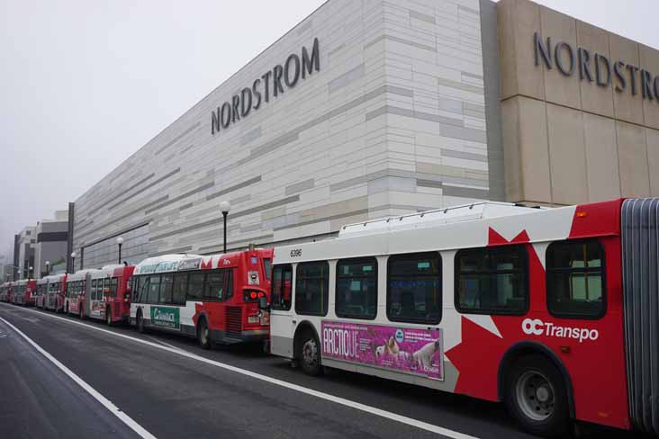 OC Transpo | SHOWBUS International BUS IMAGE GALLERY | Canada