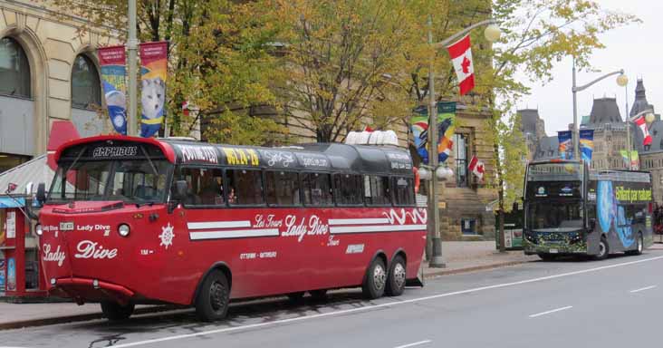 Lady Dive | SHOWBUS BUS IMAGE GALLERY | Canada