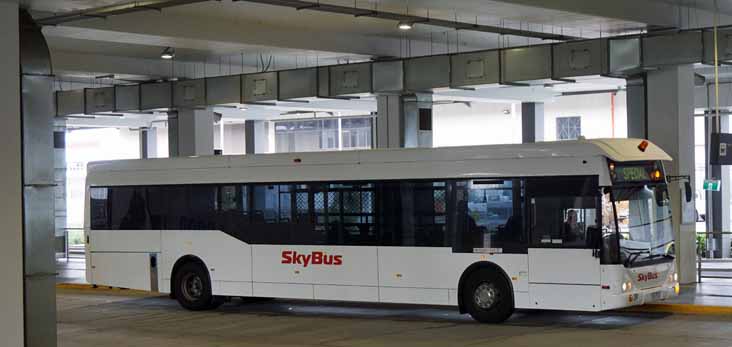 Skybus - australia.SHOWBUS.com BUS IMAGE GALLERY - Melbourne Skybus