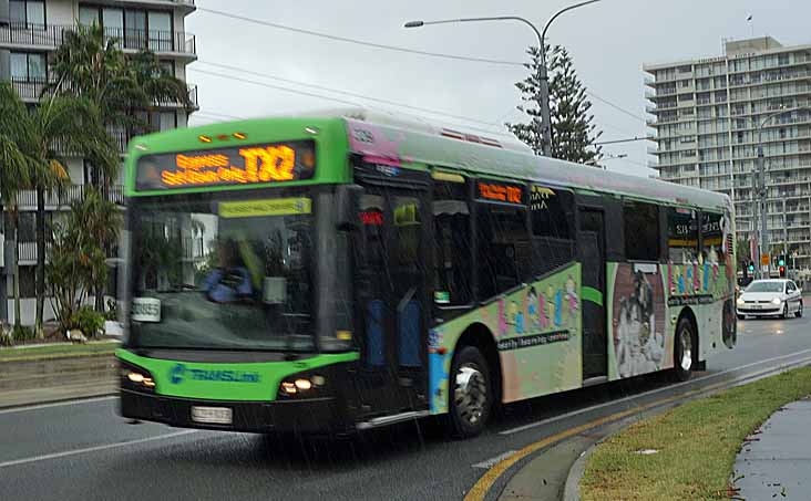 Surfside - australia.SHOWBUS.com BUS IMAGE GALLERY
