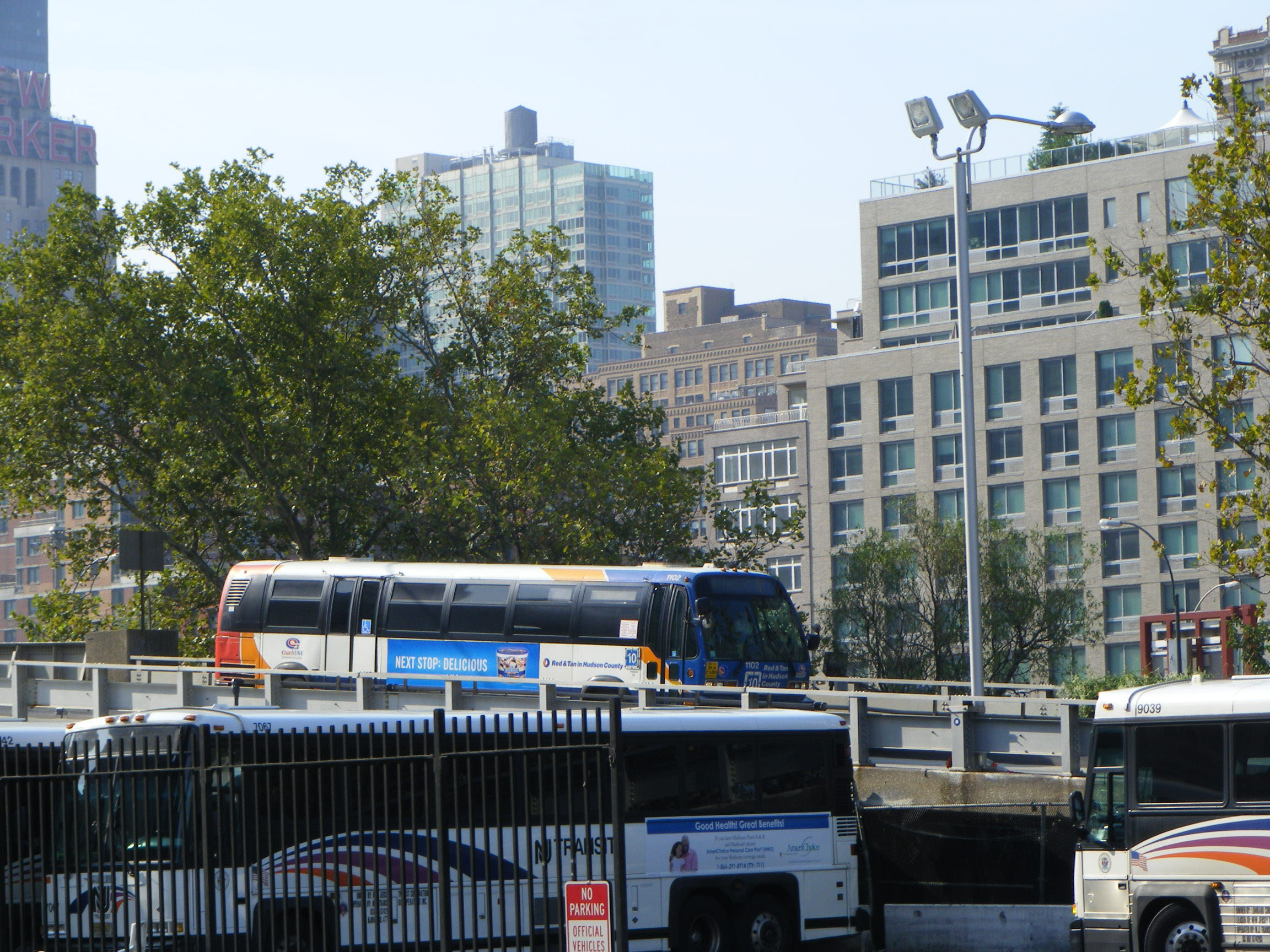 Coach USA Red & Tan - SHOWBUS International PHOTO GALLERY - USA