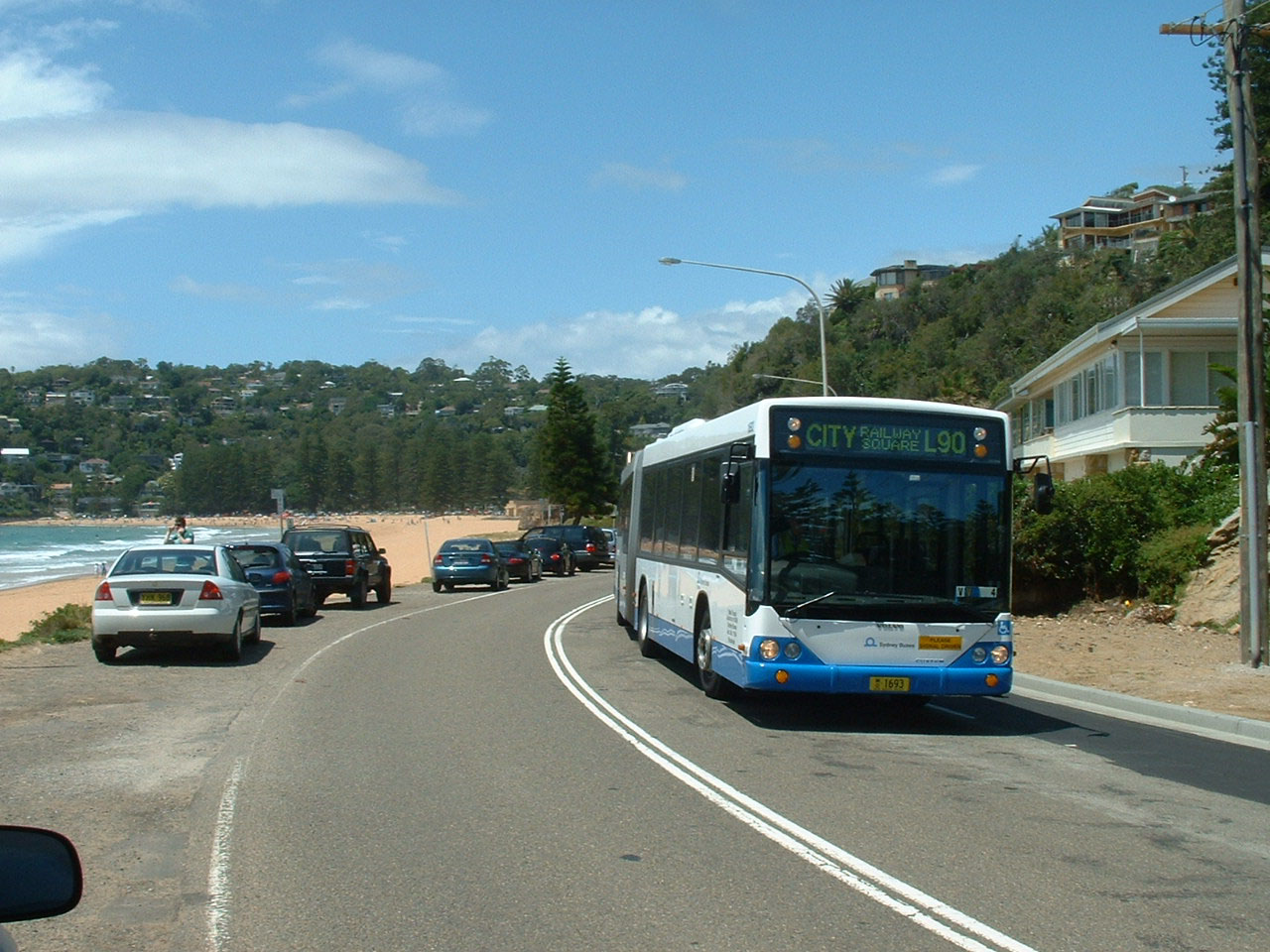 Sydney Buses BUS IMAGE GALLERY