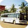 Pearl Town Bus Service fleet images