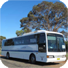 Griffith Buslines fleet images