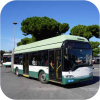 Italian Buses