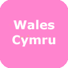 Welsh Museums