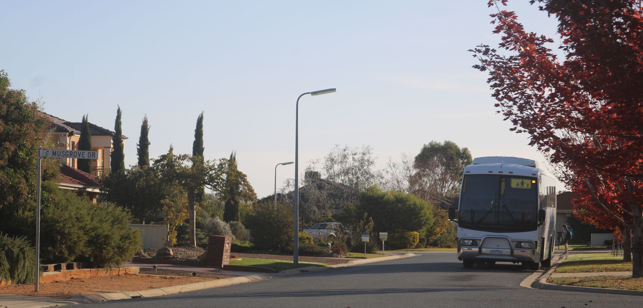 Jacobsons Bus Service | australia.SHOWBUS.com BUS IMAGE GALLERY