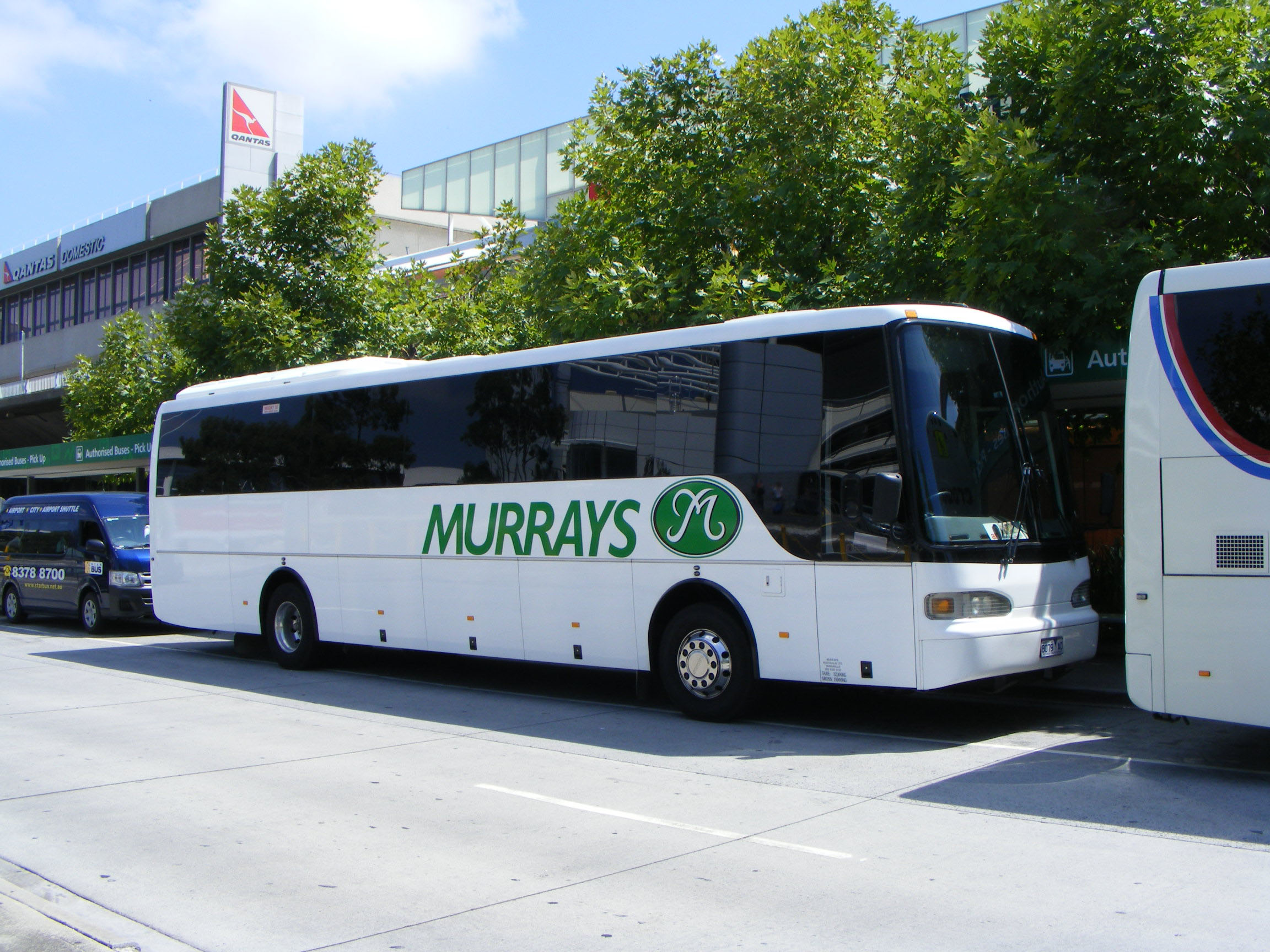 Murrays Coaches | australia.SHOWBUS.com BUS IMAGE GALLERY