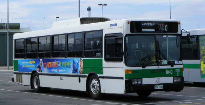 Transperth | australia.SHOWBUS.com BUS IMAGE GALLERY