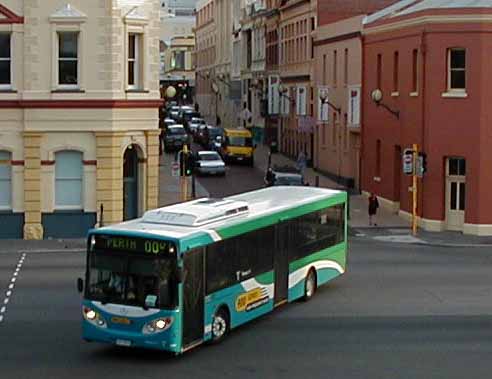 Transperth | australia.SHOWBUS.com BUS IMAGE GALLERY