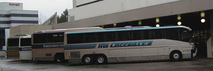 McCafferty's - australia.SHOWBUS.com CAOCH IMAGE GALLERY