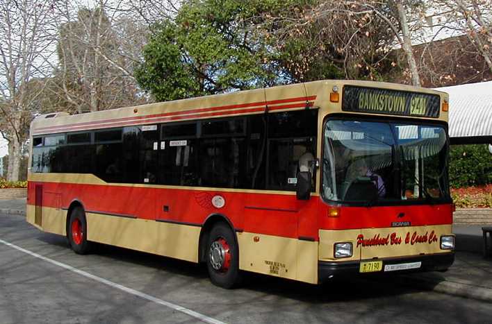 Punchbowl Bus & Coach Co | SHOWBUS AUSTRALIA BUS IMAGE GALLERY | NSW