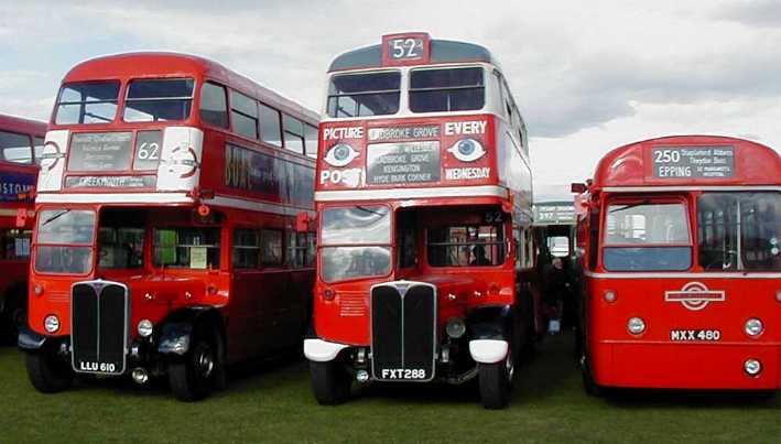 London Transport RT3251 and RT113