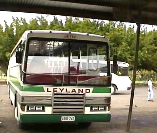 Leyland DD243