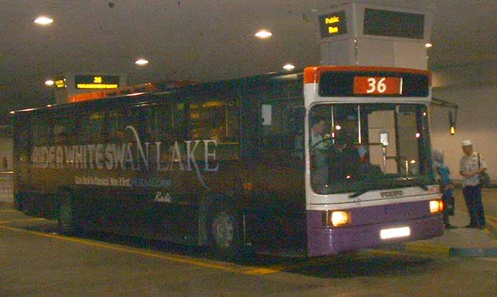 SBS Transit - SHOWBUS PHOTO GALLERY - Singapore